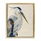 Stupell Industries Neutral Tone Vintage Heron Floating Frame By Stacy Gresell